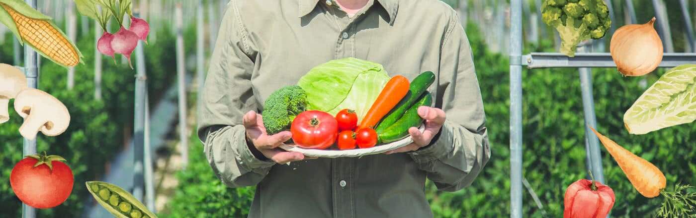 レタスの病気予防効果！野菜の選び方